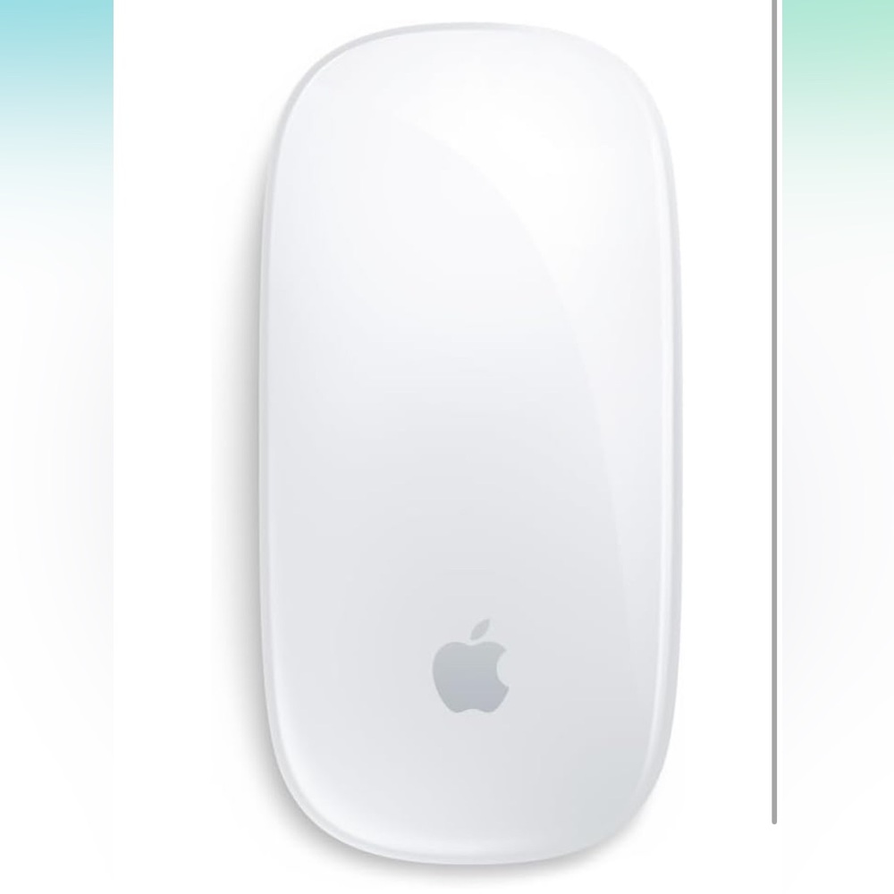 Apple Silver and Black Magic Mouse